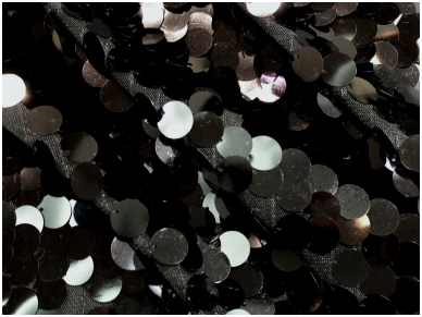 Juodos spalvos žvyneliai d 1.7 cm ant tinklelio